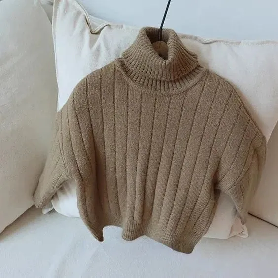 Chunky Turtleneck Rib Sweater