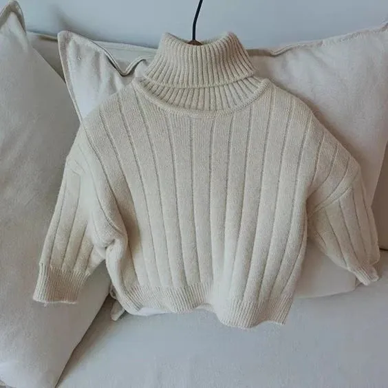 Chunky Turtleneck Rib Sweater