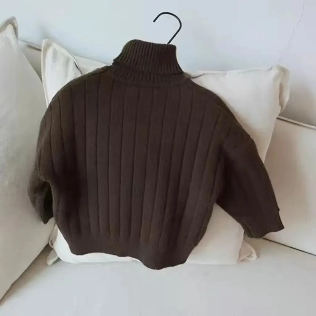 Chunky Turtleneck Rib Sweater