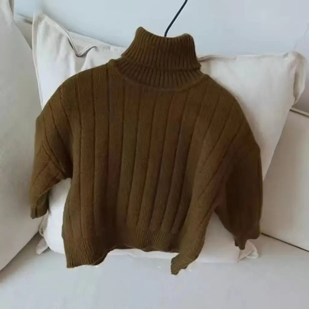 Chunky Turtleneck Rib Sweater