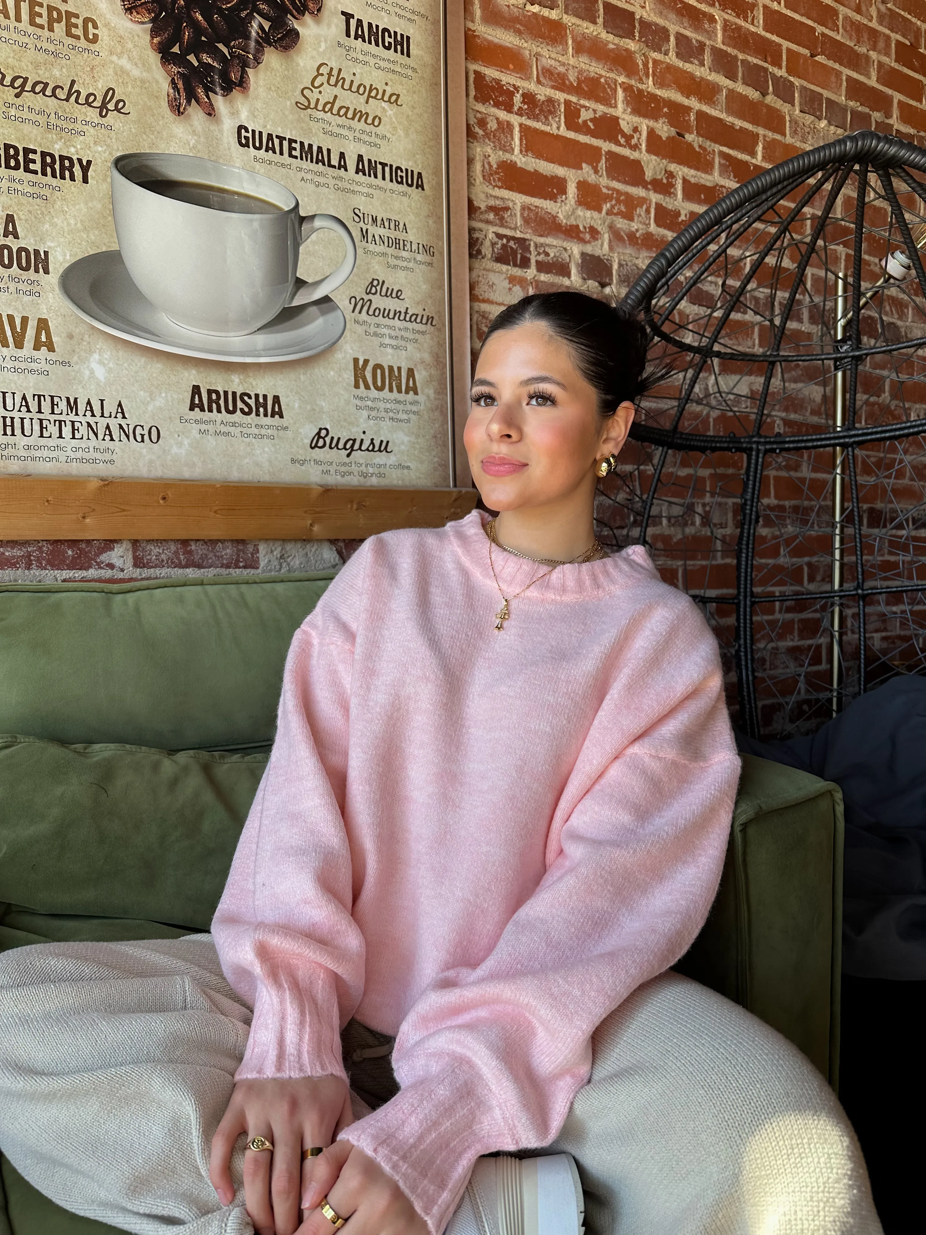 Strawberry Shortcake Sweater